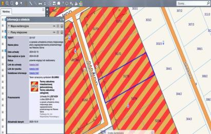 Rzut, plan Działka pod zabudowę mieszkaniowo-usługową-Rekowo Górne