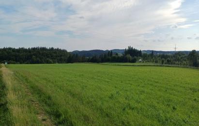 Rzut, plan Działka budowlana Ustarbowo-Ustarbowo