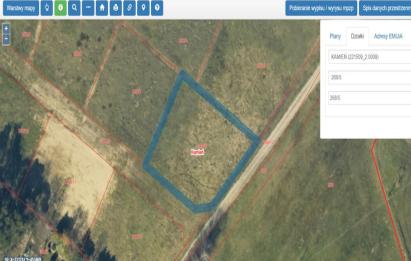 Rzut, plan Kamień| Działka budowlana z WZ |LAS| Jezioro| S6-Kamień